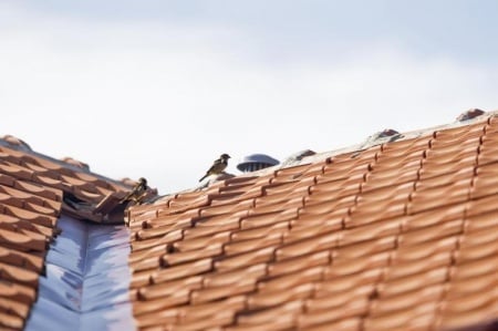 Choisir sa couverture de toit : mat&eacute;riaux et conseils pratiques